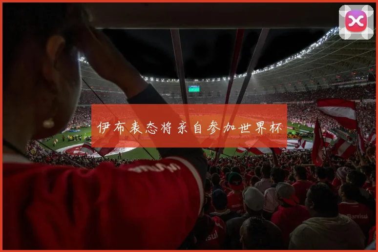 伊布表态将亲自参加世界杯