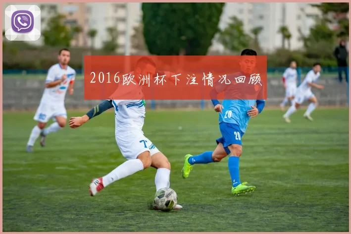 2016欧洲杯下注情况回顾