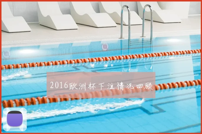 2016欧洲杯下注情况回顾