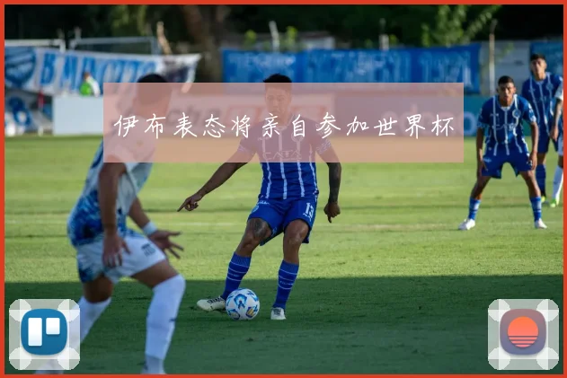 伊布表态将亲自参加世界杯