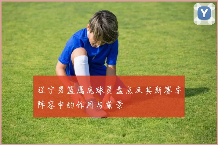 辽宁男篮属虎球员盘点及其新赛季阵容中的作用与前景