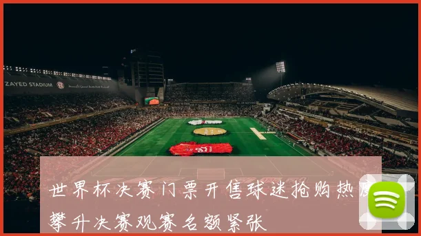 世界杯决赛门票开售球迷抢购热度攀升决赛观赛名额紧张